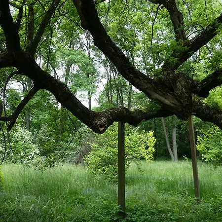 Dom Lowczego Gnoyna Park *