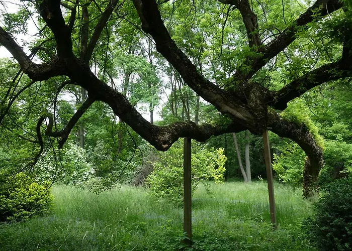 Dom Lowczego Gnoyna Park *