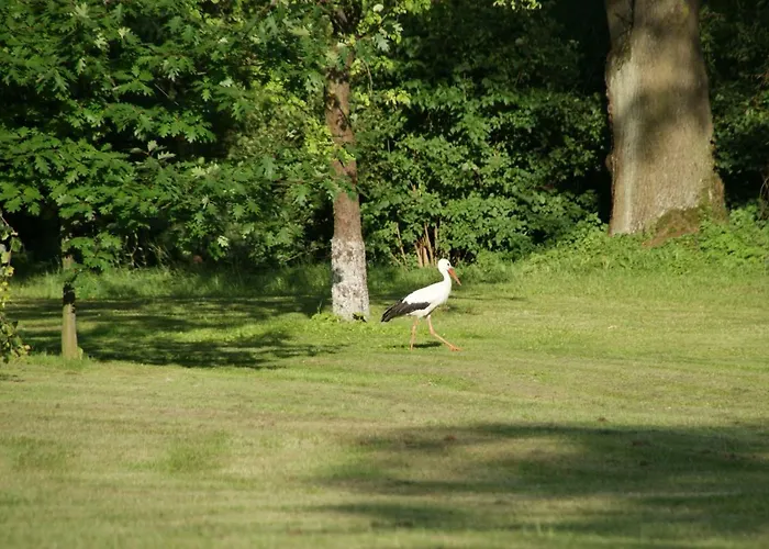 Dom Lowczego Gnoyna Park カントリーハウス ラジェヨビツェ