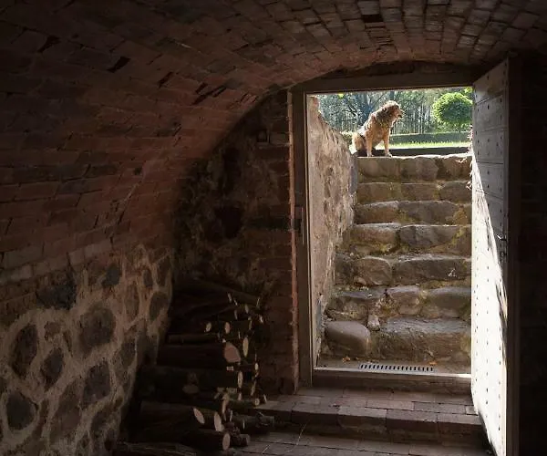 カントリーハウス Dom Lowczego Gnoyna Park