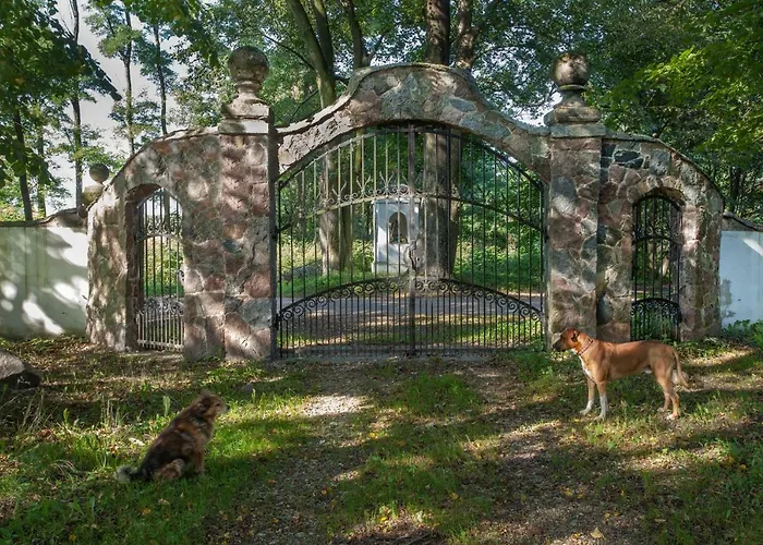 Dom Lowczego Gnoyna Park カントリーハウス *